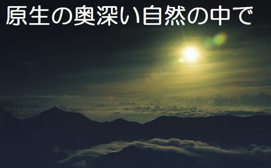 原生の奥深い自然の中で