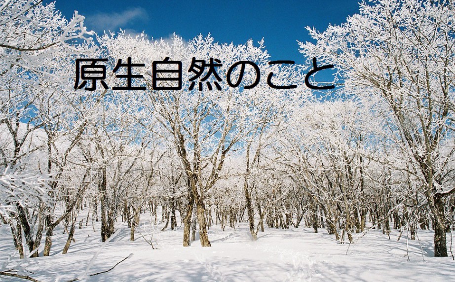 原生自然のこと